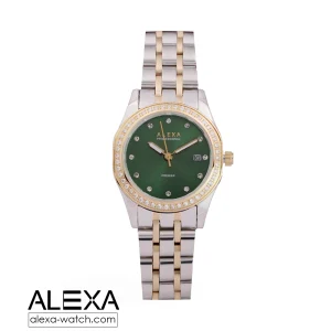 0120 alexa watch 6